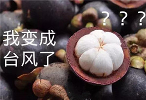 “山竹”还未走远，但贝朗全自动弯线机已正常上班啦！