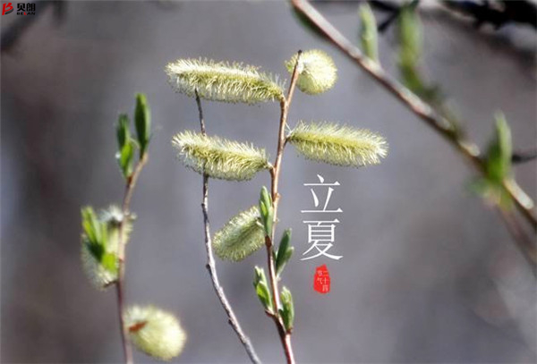 二十四节气立夏，那些您不知道的习俗