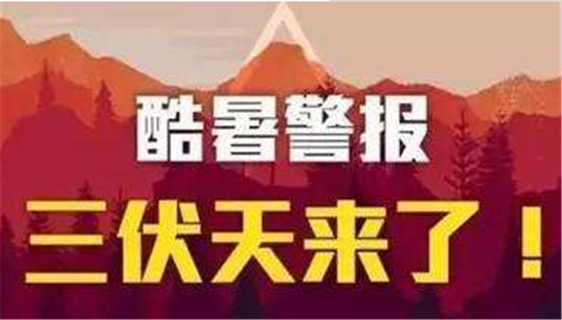 三伏已入，愿您安然度夏——贝朗高 效数控折弯机械